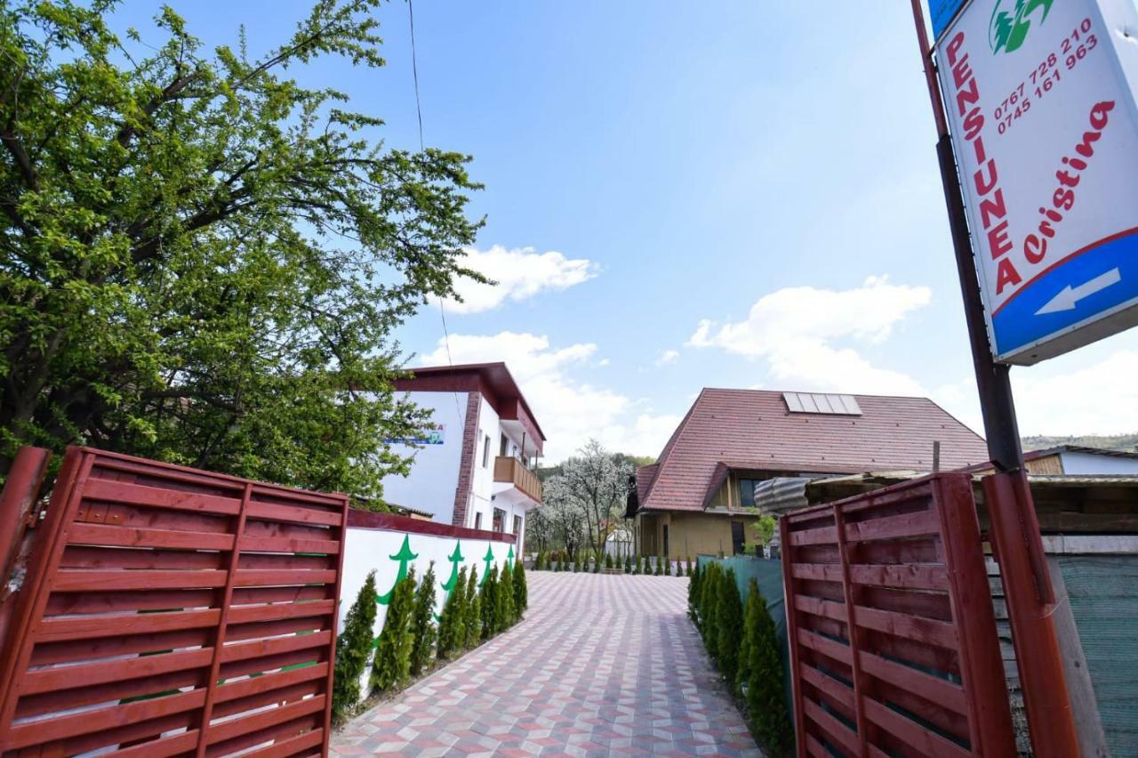 Pensiunea Cristina Вишеу-де-Сус Экстерьер фото