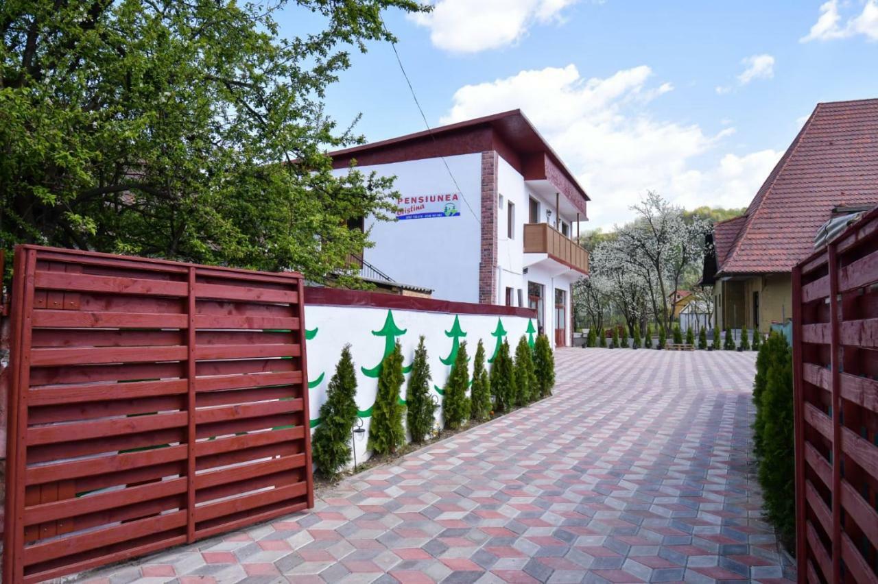 Pensiunea Cristina Вишеу-де-Сус Экстерьер фото